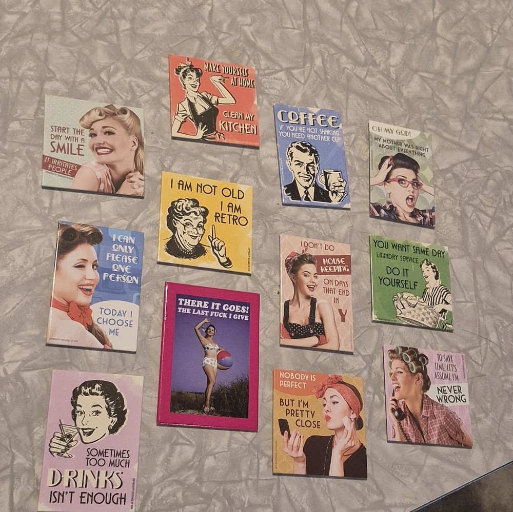 Retro Humorous Magnet Set